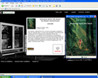 IBS_E-commerce